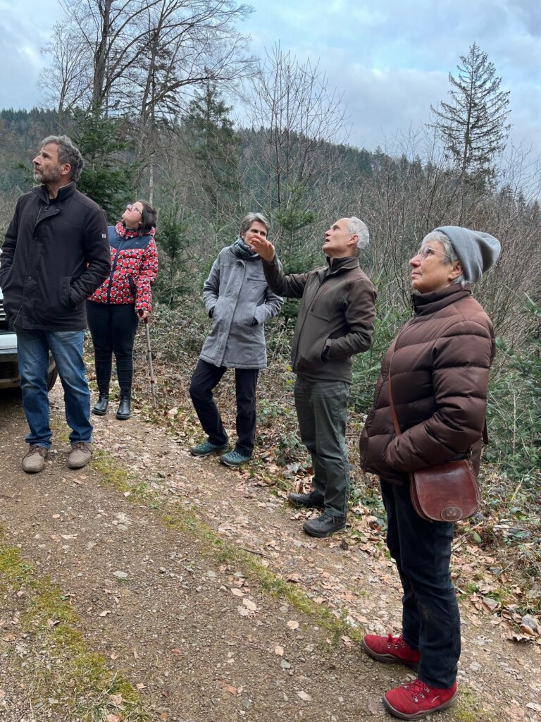 01.03.24 – Vertreter/innen der Gemeideratsliste von DOL & Grünen informierten sich über Klimaanpassungsmaßnahmen im Stadtwald in Waldkirch-Kollnau