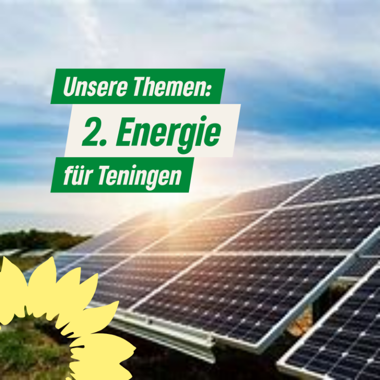 Unsere Themen für Teningen: 2. Energie